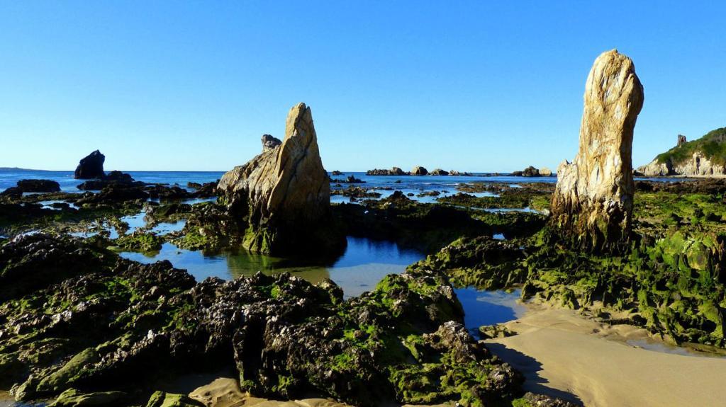 Coastal Comfort Motel Narooma Dış mekan fotoğraf